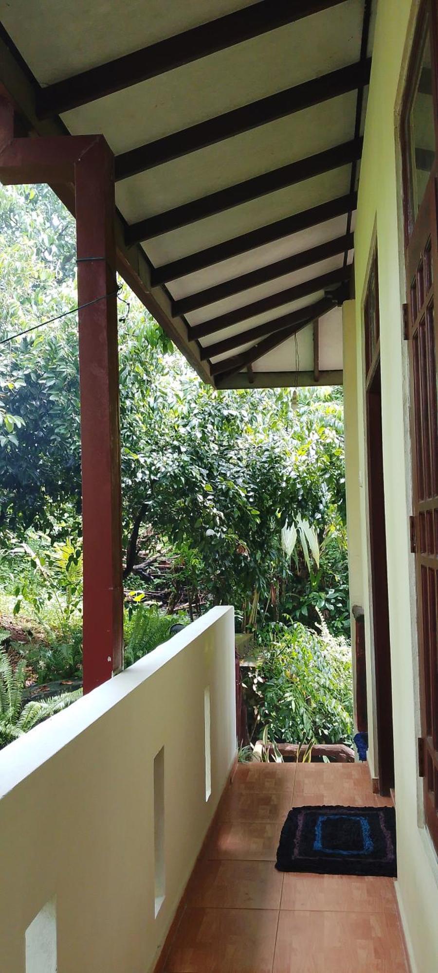 Ranga Villa Хіккадува Номер фото