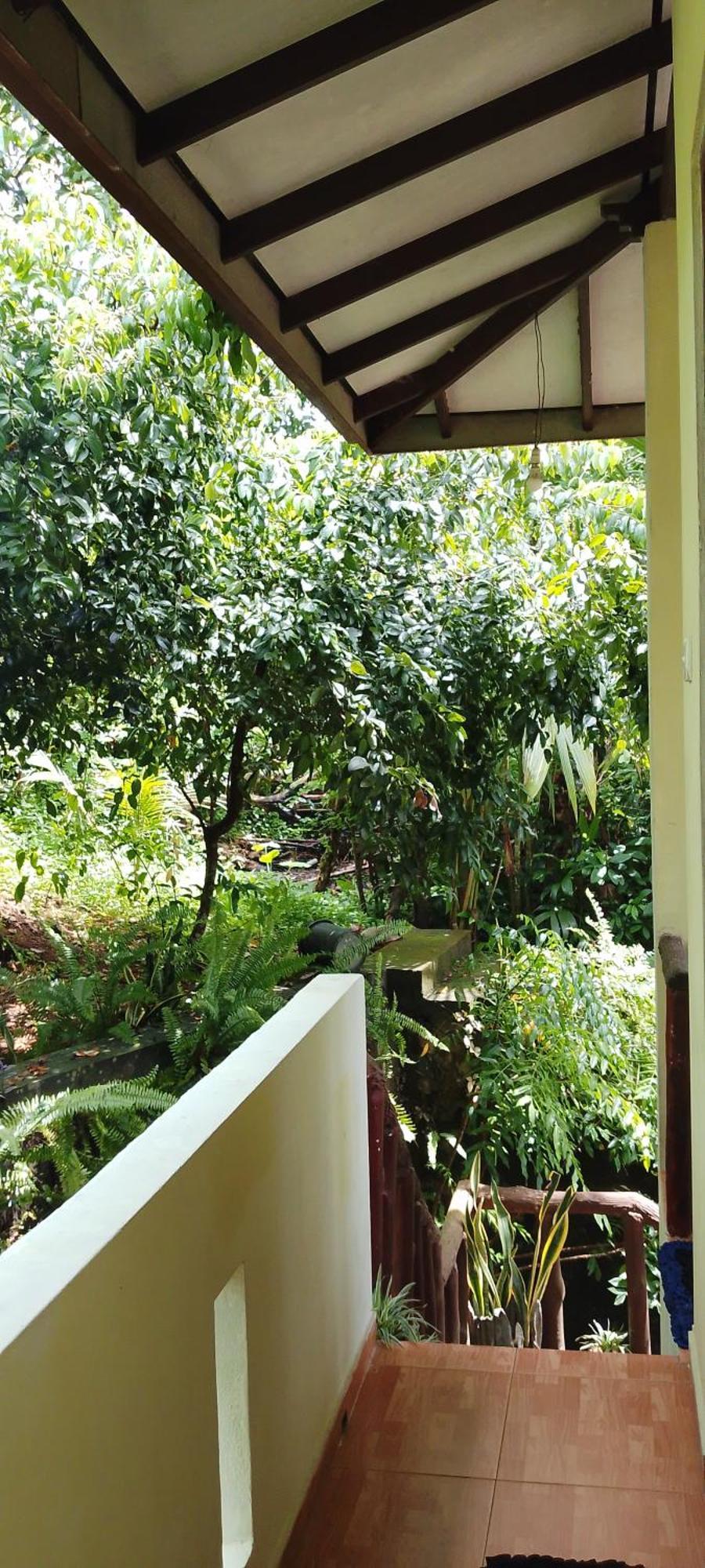 Ranga Villa Хіккадува Номер фото